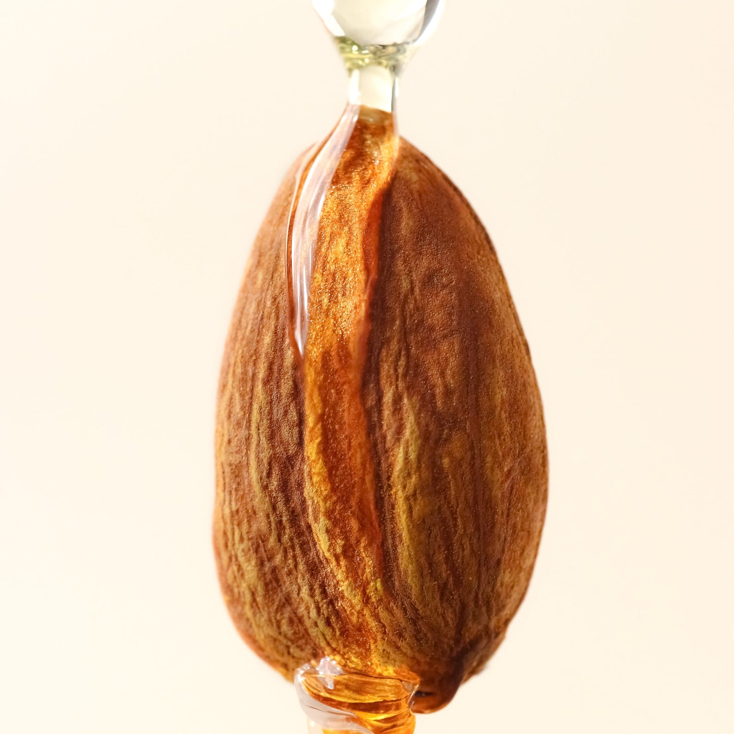 Earthen Spring Almond Oil Cold Pressed (All Ages)