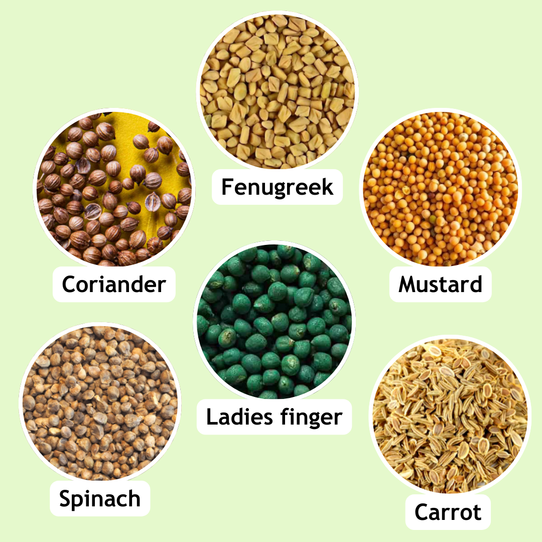 Taali Plantable Pencil with Topper- Set of 5 Pencils