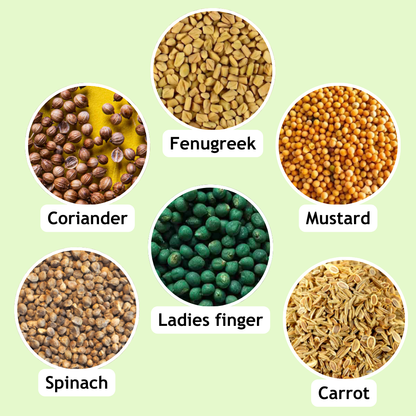 Taali Plantable Pencil with Topper- Set of 5 Pencils