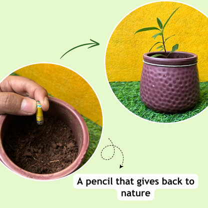 Taali Plantable Pencil with Topper- Set of 5 Pencils