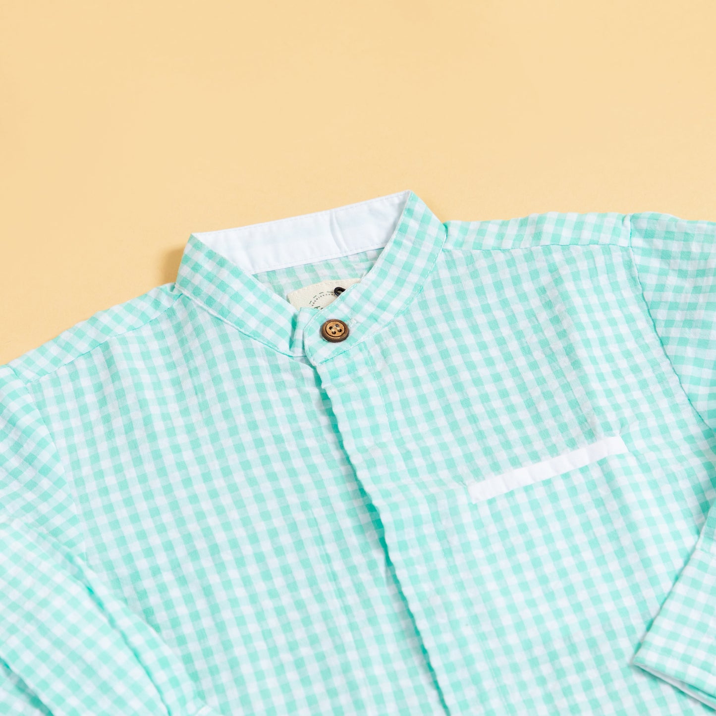 Minty Meadows Full Hand Boys Shirt (1-10 Years)