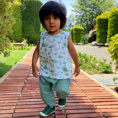 Organic Koi Jhabla With Mint Pants
