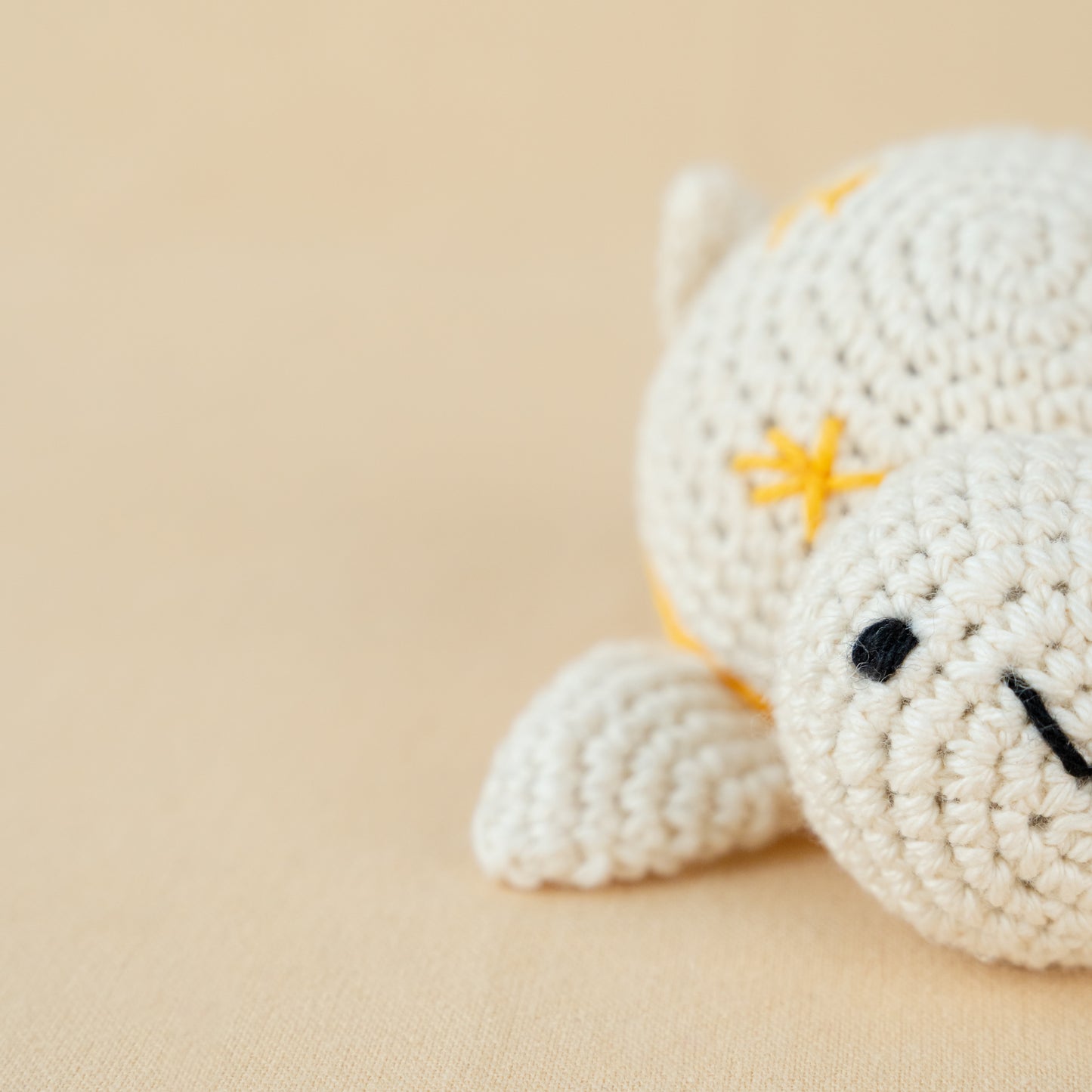 Crochet Turtle Rattle